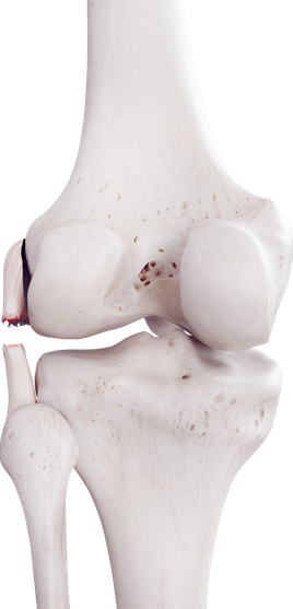 Российская компания MST