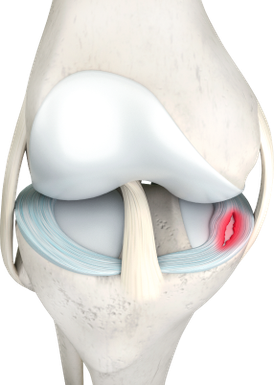 Российская компания MST