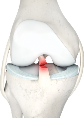 Российская компания MST