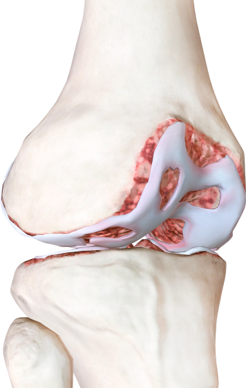 Российская компания MST